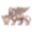 威尼斯人娱乐城